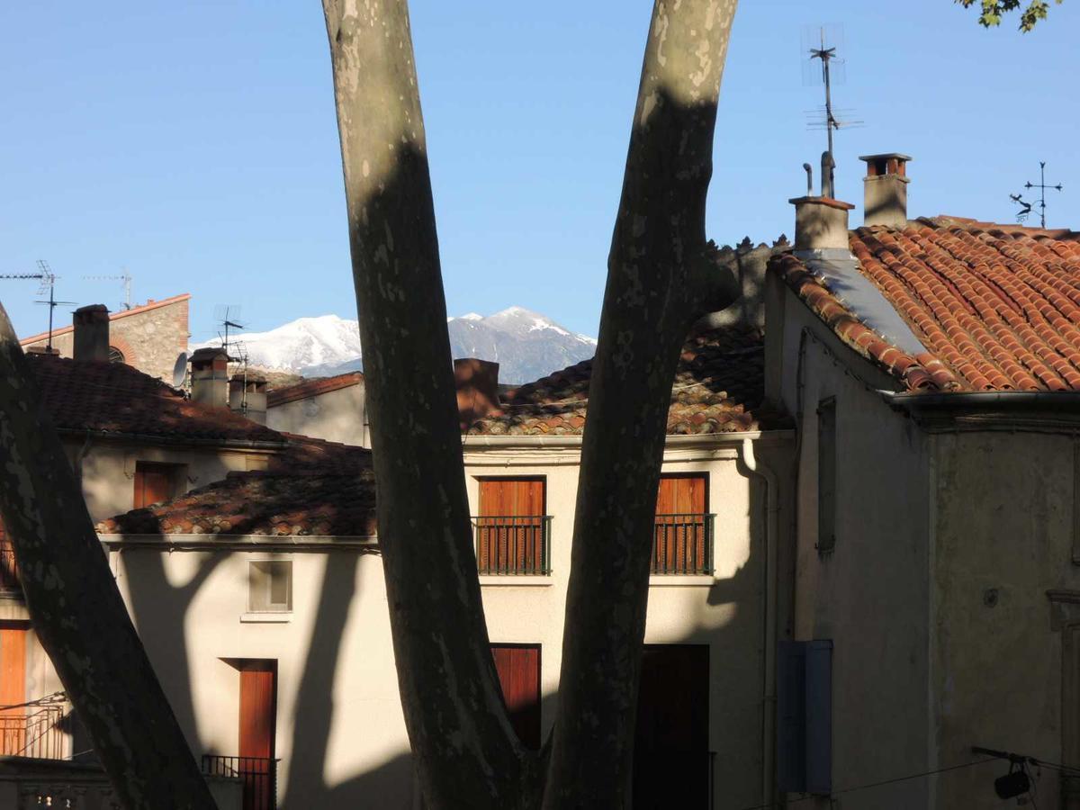 Hotel Des Arcades Céret Eksteriør bilde